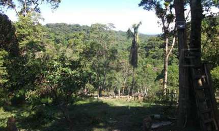 Chácara / sítio com 3 quartos à venda na Estrada Dona Siderurgica, Jardim Eliana, São Paulo