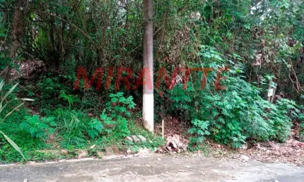 Terreno em condomínio fechado à venda na Alameda Kiri, Serra da Cantareira, São Paulo