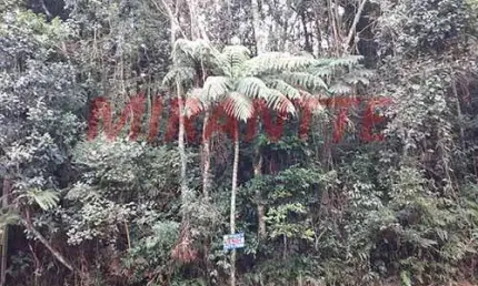 Terreno em condomínio fechado à venda na Rua Icapara, Serra da Cantareira, Mairiporã