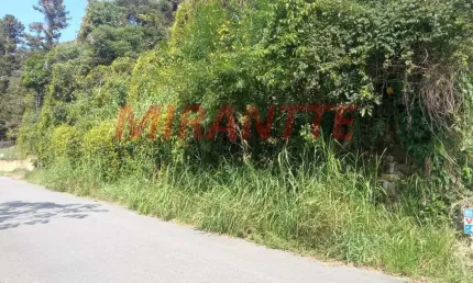 Terreno à venda na Alameda Dos Jequitibas, Parque Petrópolis, Mairiporã