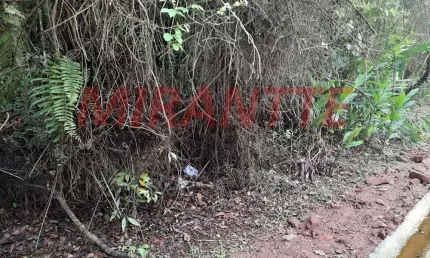 Terreno em condomínio fechado à venda na Alameda Mandarins, Serra da Cantareira, São Paulo