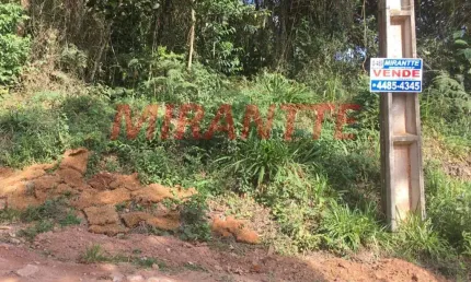 Terreno à venda na Rua Quinze, Serra da Cantareira, São Paulo
