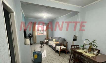 Casa terrea de 240m² com 4 quartos em Vila Nova Cachoeirinha