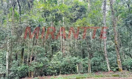 Casa com 1 quarto à venda na Rua Dos Salgueiros, Caraguatá, Mairiporã