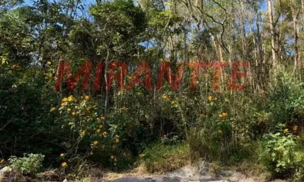 Terreno à venda na Avenida Esmeralda, Centro, Mairiporã