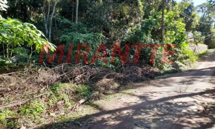 Terreno à venda na Avenida Das Paineiras, Serra da Cantareira, São Paulo