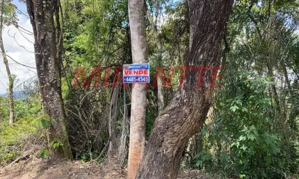 Terreno à venda na Av Dr Arthur De Andrade Filho, Serra da Cantareira, São Paulo