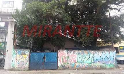 Terreno à venda na Rua das Imbiras, Vila Mazzei, São Paulo