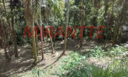 Terreno à venda na Avenida Av Dr. Arthur De Andrade Filho, Serra da Cantareira, Mairiporã