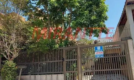 Terreno à venda na Rua Canhemborá, Vila Gustavo, São Paulo