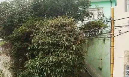 Casa com 3 quartos à venda na Rua Ivolândia, Mandaqui, São Paulo