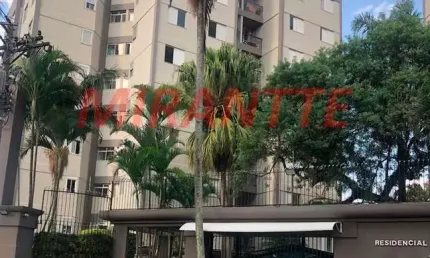 Apartamento de 70m² com 3 quartos em vila aurora (zona norte)