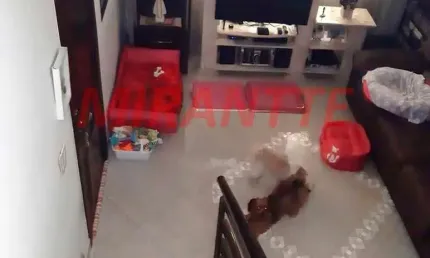 Casa com 2 quartos à venda na Rua Alcides Alves, Casa Verde, São Paulo