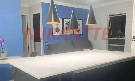 Apartamento de 50m² com 2 quartos em Parque Mandaqui