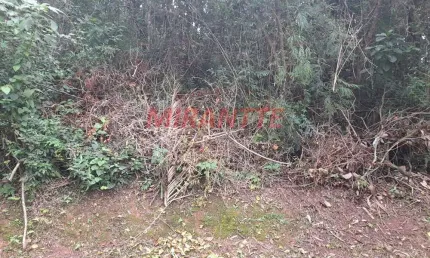 Terreno em condomínio fechado à venda na Avenida Av Arthur De Andrade Filho, Serra da Cantareira, São Paulo