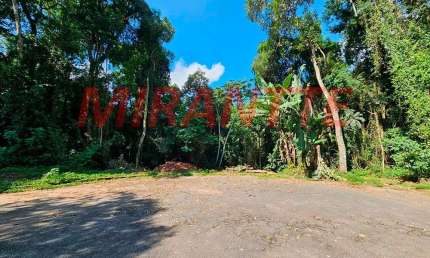 Terreno à venda na Rua Dos Sombreiros, Caraguatá, Mairiporã