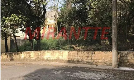 Terreno à venda na Rua Theodomiro Moraes Cunha, Horto Florestal, São Paulo