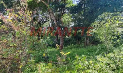 Terreno à venda na Rua Coronel Agostinho da Fonseca, Horto Florestal, São Paulo