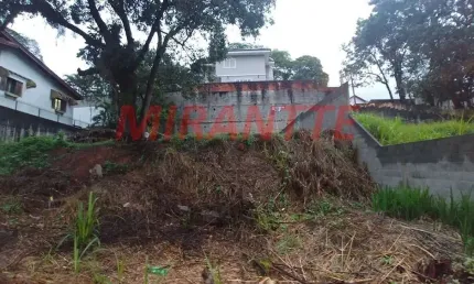 Terreno à venda na Rua Theodomiro Moraes Cunha, Horto Florestal, São Paulo
