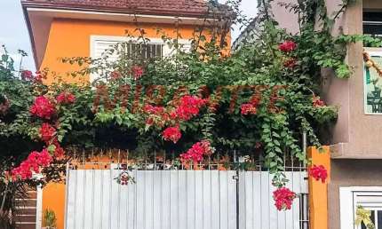 Casa com 5 quartos à venda na Rua São Delfino, Vila Medeiros, São Paulo