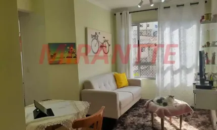 Apartamento de 47m² com 2 quartos em parada inglesa