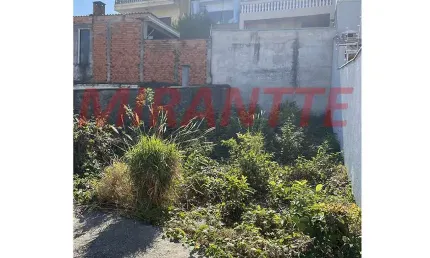 Terreno à venda na Rua Santa Veridiana, Vila Maria Alta, São Paulo