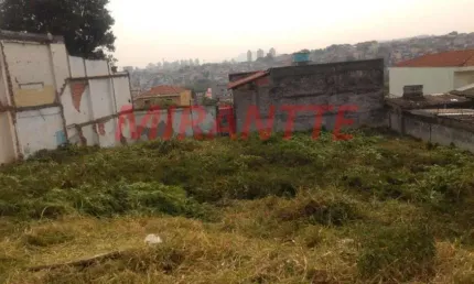 Terreno à venda na Avenida Deputado Emílio Carlos, Limão, São Paulo