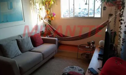 Apartamento de 50m² com 2 quartos em Santa Terezinha