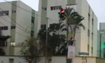 Apartamento de 58m² com 2 quartos em vila guilherme
