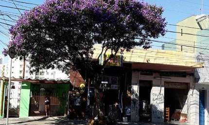 Casa com 1 quarto à venda na Rua Coronel Evaristo de Campos, Santa Teresinha, São Paulo