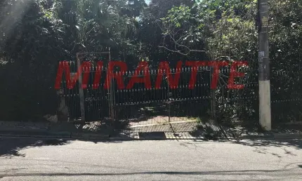 Terreno à venda na Rua da Esperança, Vila Gustavo, São Paulo