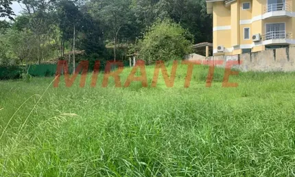 Terreno em condomínio fechado à venda na Rua Maestro Otto Wey, Jardim Itatinga, São Paulo