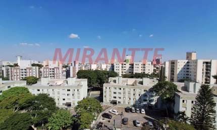 Apartamento com 2 quartos à venda na Rua Pedro Brasil Bandecchi, Vila Amélia, São Paulo