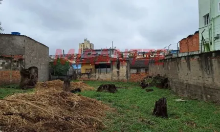 Terreno à venda na Avenida Imirim, Imirim, São Paulo