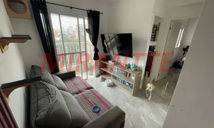 Apartamento com 2 quartos à venda na Rua José Conhago Pomare, Vila Guaca, São Paulo