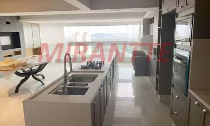 Apartamento de 265m² com 3 quartos em Jardim Barbosa