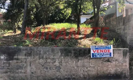 Terreno à venda na Rua Antoninho Marmo, Vila Irmãos Arnoni, São Paulo