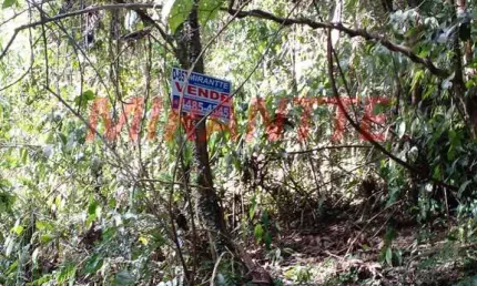 Terreno à venda na Rua Aroeira, Serra da Cantareira, Mairiporã