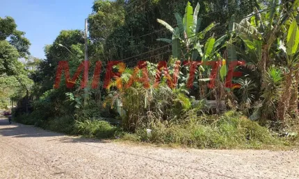 Terreno à venda na Rua dos Pinheiros, Serra da Cantareira, São Paulo