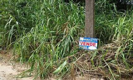 Terreno à venda na Rua dos Pinheiros, Serra da Cantareira, São Paulo