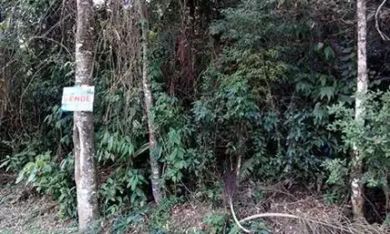 Terreno em condomínio fechado à venda na Rua Salgueiros, Serra da Cantareira, São Paulo