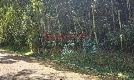 Terreno em condomínio fechado à venda na Rua Barão de Guedes, Serra da Cantareira, Mairiporã