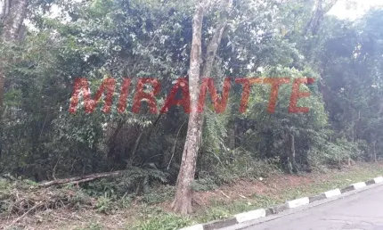 Terreno em condomínio fechado à venda na Avenida Doutor Arthur Andrade Filho, Serra da Cantareira, Mairiporã