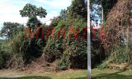 Terreno em condomínio fechado à venda na Alameda Dos Flamingos, Serra da Cantareira, São Paulo