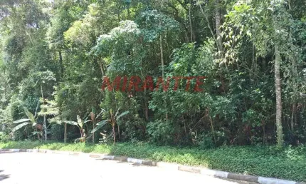 Terreno em condomínio fechado à venda na Alameda Parque Valinhos, Serra da Cantareira, Mairiporã