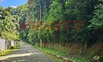 Terreno em condomínio fechado à venda na Rua Visconde de Cunha Bueno, Serra da Cantareira, Mairiporã