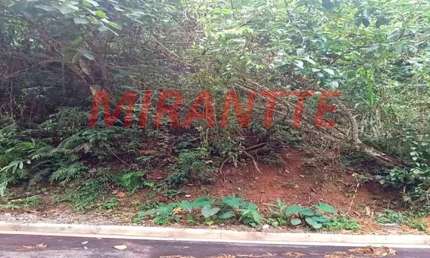Terreno à venda na Avenida Caraguata, Cumbari, Mairiporã