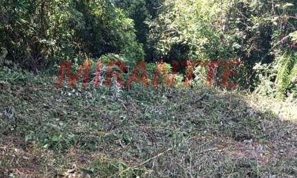 Terreno à venda na Alameda dos Ipês, São Vicente, Mairiporã