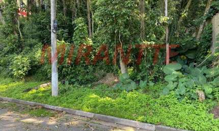 Terreno à venda na Rua Das Palmeiras, Caraguatá, Mairiporã