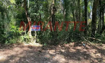 Terreno à venda na Rua Dos Flamboyans, Caraguatá, Mairiporã